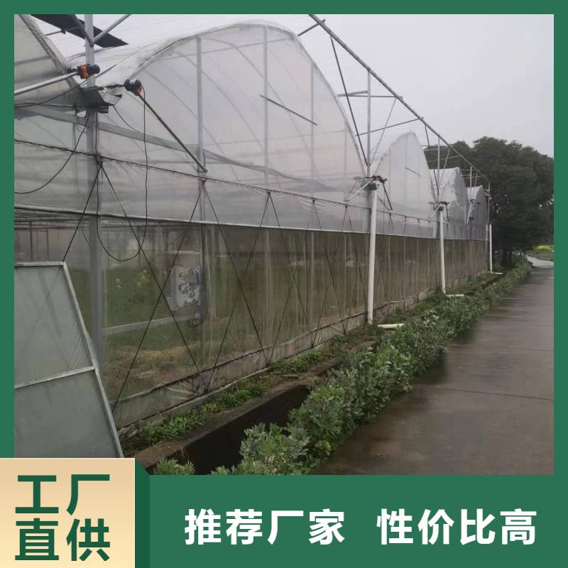 順德現(xiàn)代化農(nóng)業(yè)新篇章 智能大棚引領蔬菜水產(chǎn)花卉育苗產(chǎn)業(yè)升級